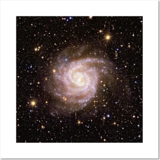 Euclid IC 342 Spiral Galaxy Posters and Art